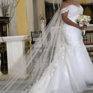 Wedding dress and veil